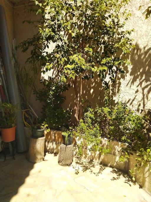 Studio Ideal Pour Deux Voyageurs Sur מרסיי מראה חיצוני תמונה