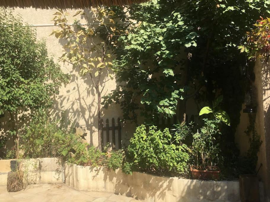 Studio Ideal Pour Deux Voyageurs Sur מרסיי מראה חיצוני תמונה